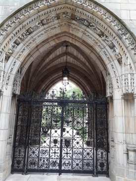 35051489_10214250991006667_8043354584304844800_n